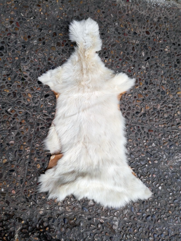 piel animales 57x40 3u 80x46 61x48 80x50 90x74 110x85 113x100